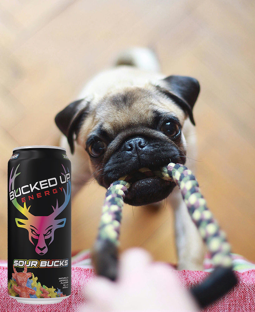 Energy Drinks