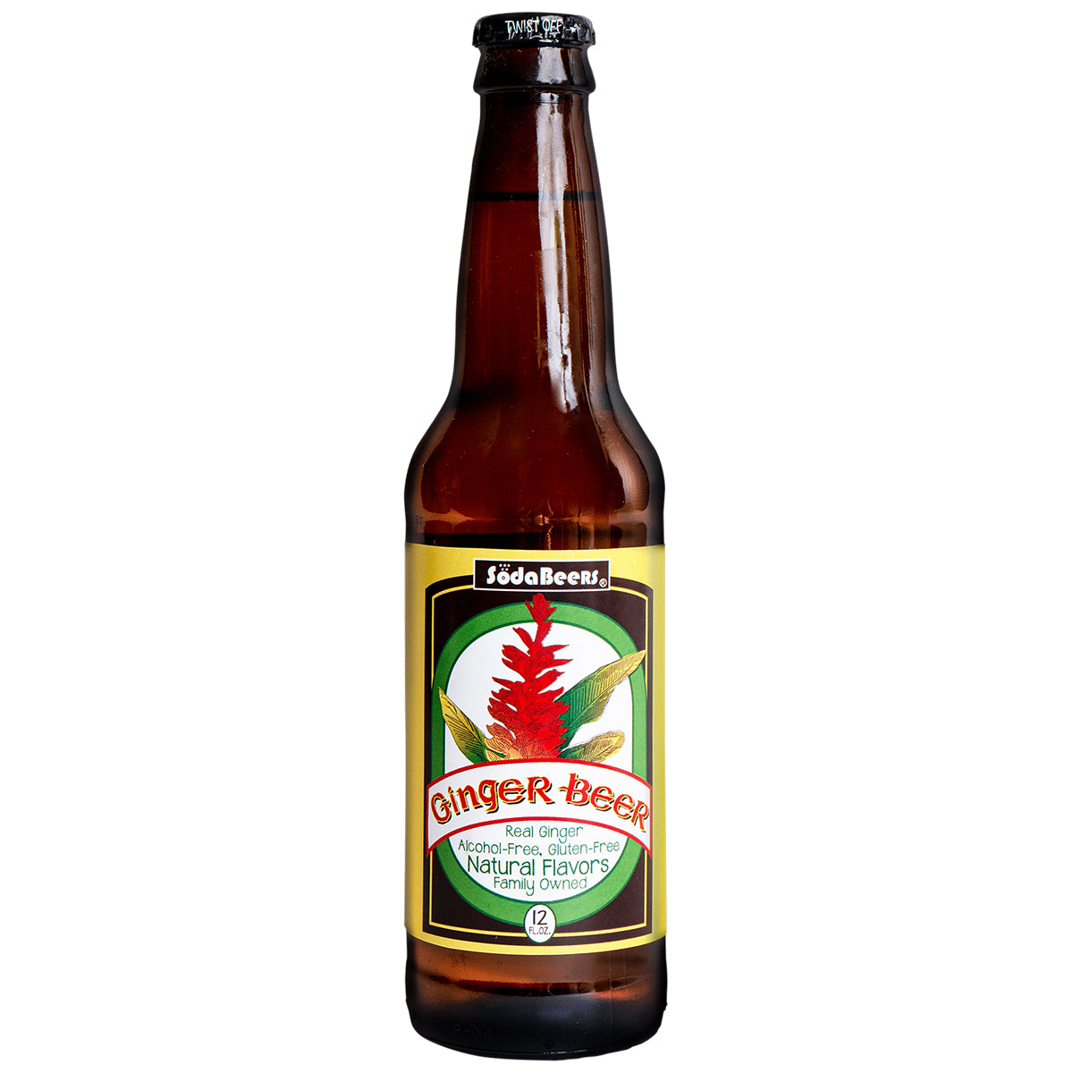 Bold Craft Ginger Beer – 6-Pack of 4